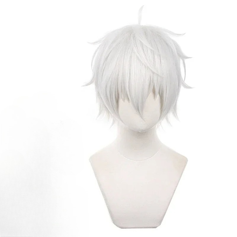 Parrucche Cosplay Anime Seishi - Cosplay Anime White Hair recensione e prezzo
