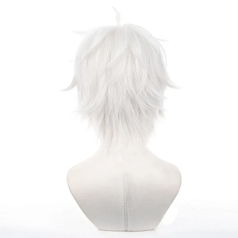 Parrucche Cosplay Anime Seishi - Cosplay Anime White Hair recensione e prezzo